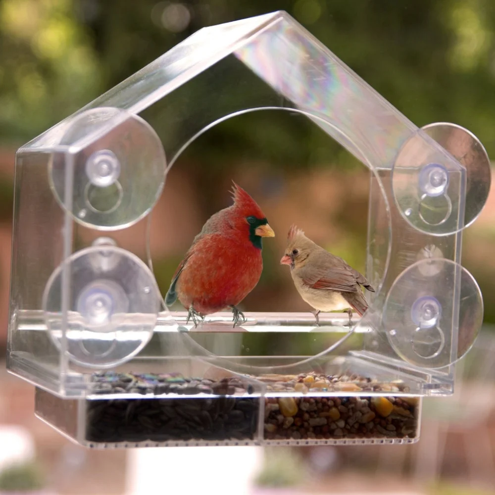 Bird's I View Window Bird Feeder